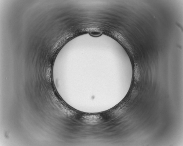 X0000102270449200808151908