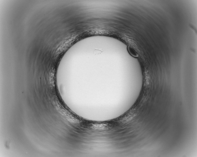 X0000102270450200808151908