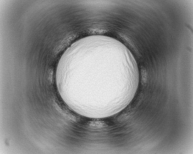 X0000102270451200808151908