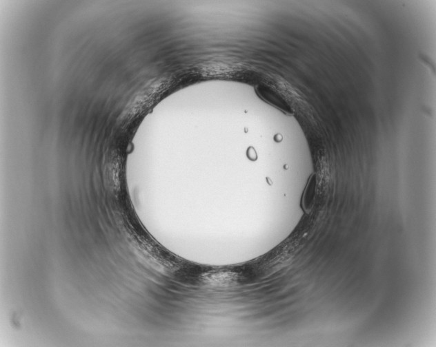 X0000102270452200808151908