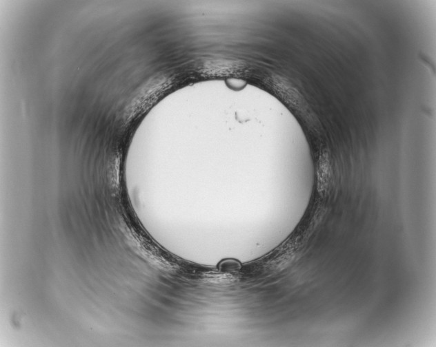 X0000102270454200808151908