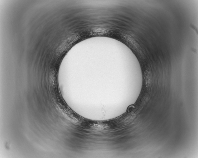 X0000102270455200808151908