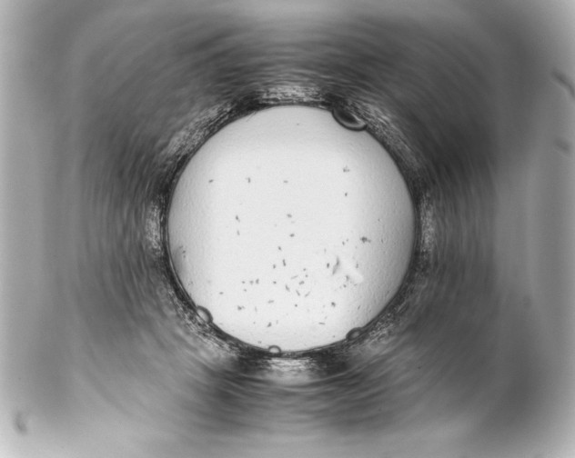 X0000102270457200808151908