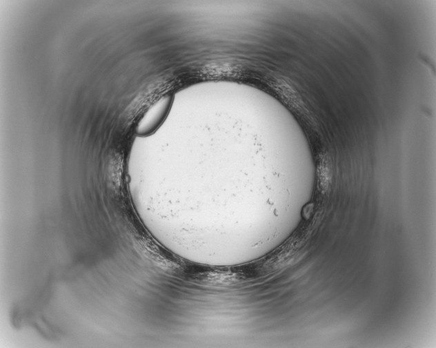 X0000102270458200808151908