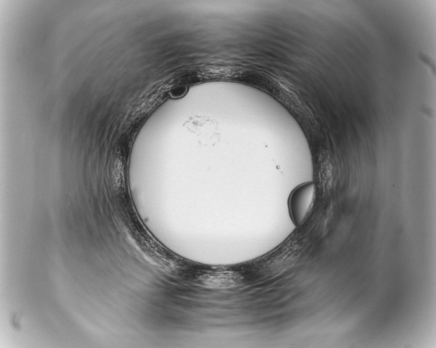 X0000102270459200808151908