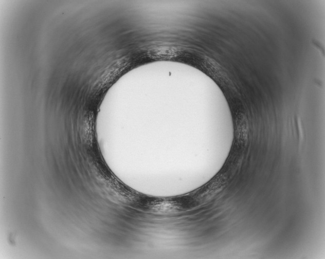 X0000102270460200808151908