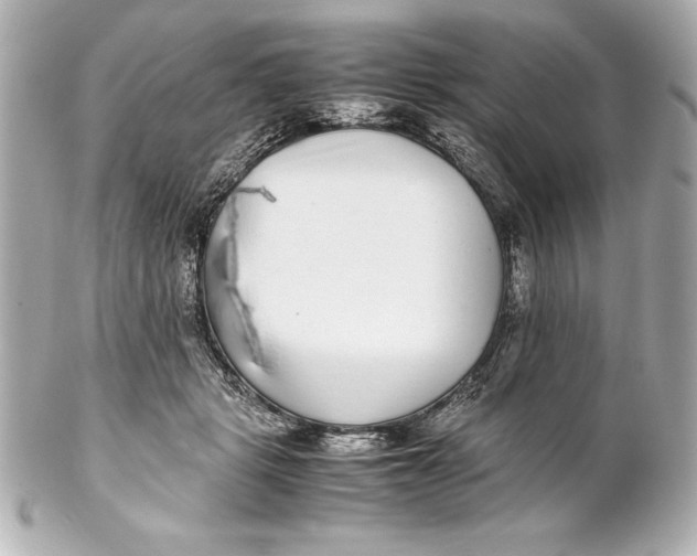 X0000102270461200808151908