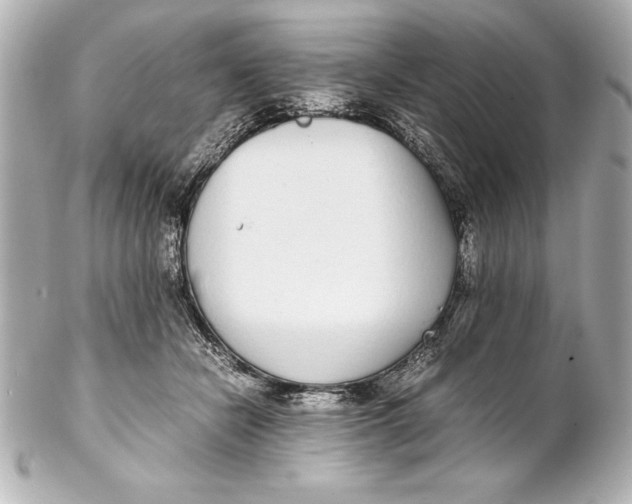 X0000102270462200808151908