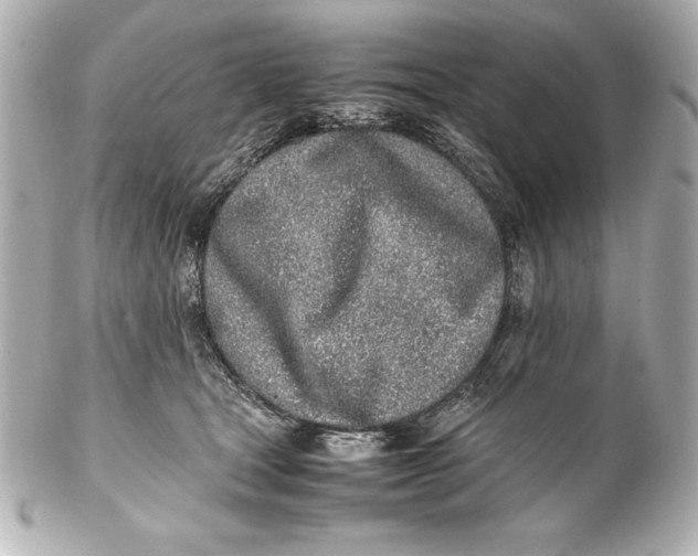 X0000102270465200808151908