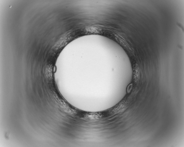 X0000102270466200808151908