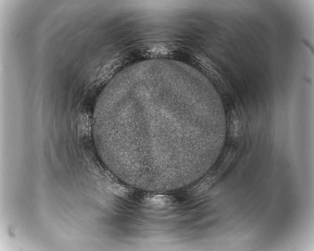 X0000102270467200808151908