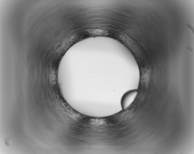 X0000102270469200808151908