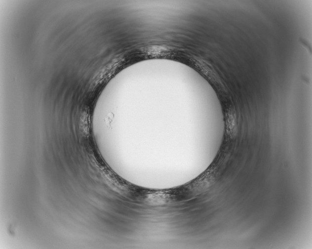 X0000102270470200808151908