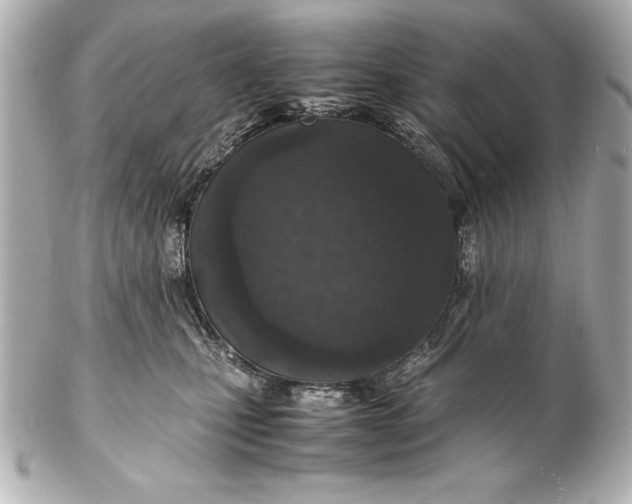 X0000102270471200808151908