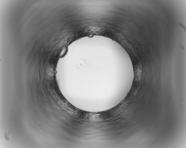 X0000102270472200808151908