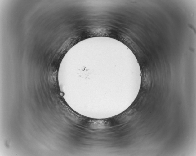 X0000102270473200808151908