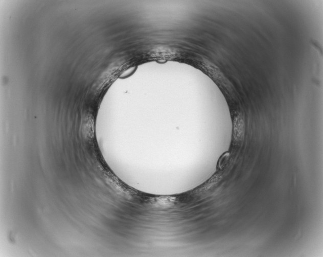 X0000102270474200808151908