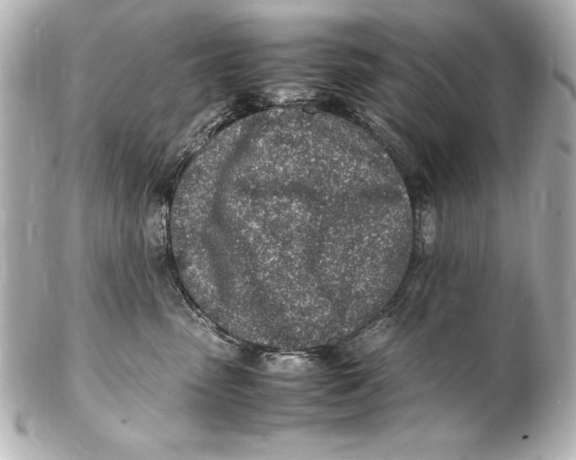 X0000102270475200808151908