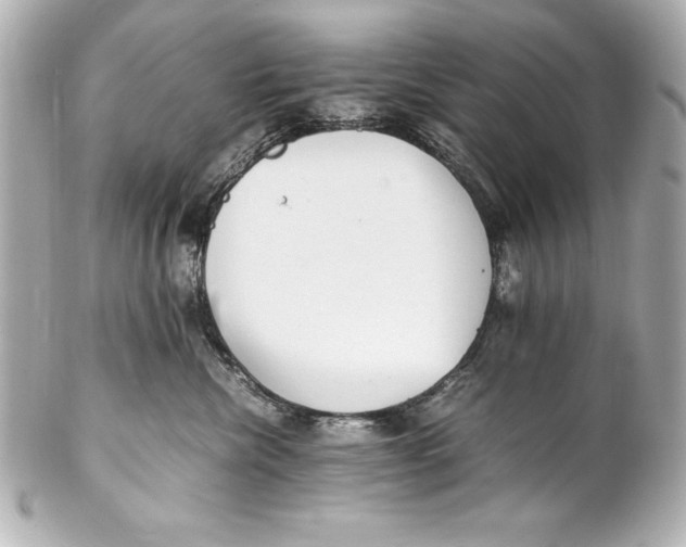 X0000102270476200808151908