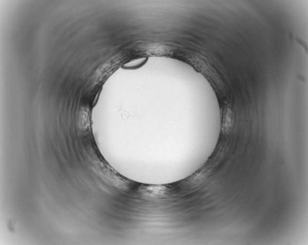 X0000102270478200808151908