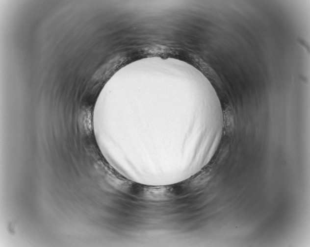 X0000102270479200808151908