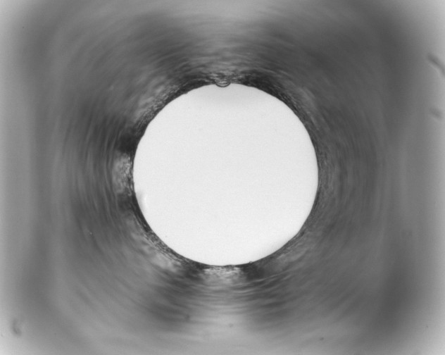 X0000102270480200808151908