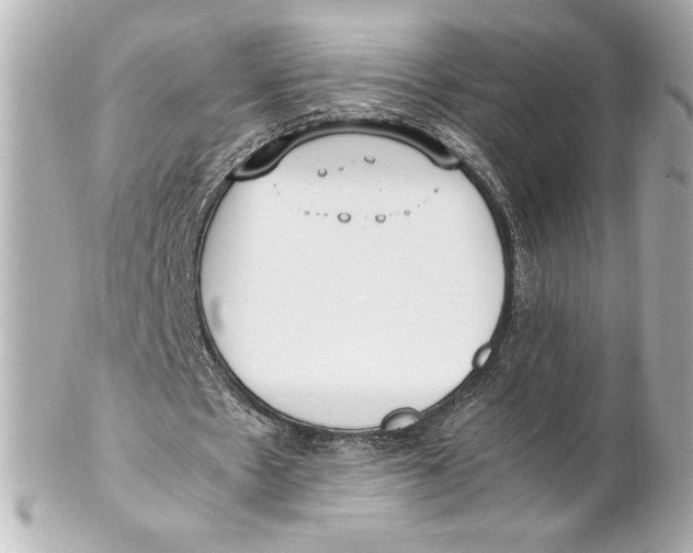 X0000102270481200808151908