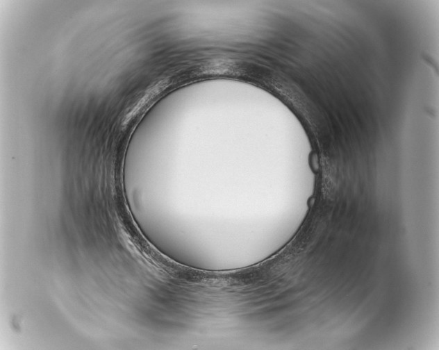 X0000102270482200808151908