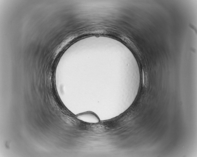 X0000102270483200808151908