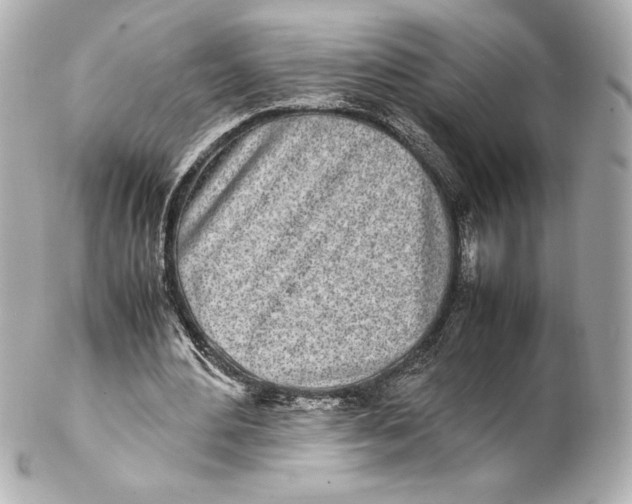 X0000102270484200808151908