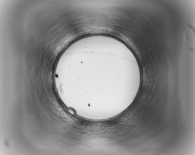 X0000102270485200808151908