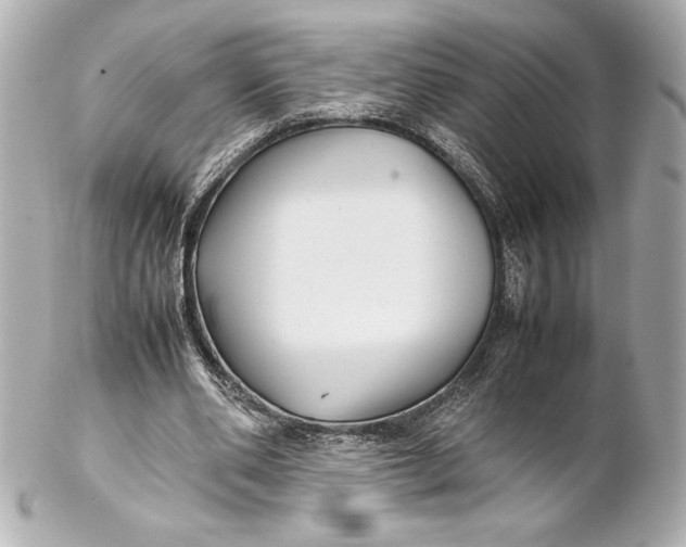 X0000102270486200808151908