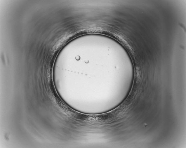 X0000102270487200808151908