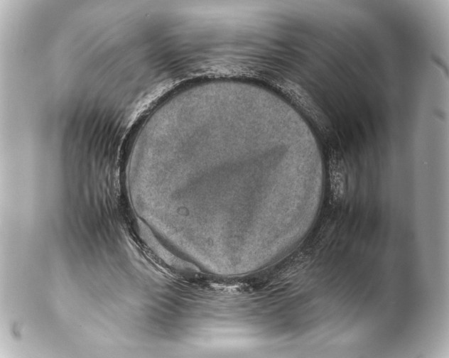 X0000102270488200808151908