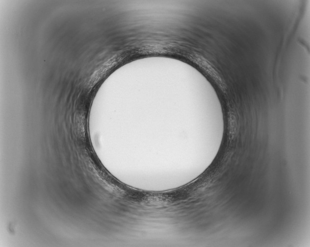 X0000102270489200808151908