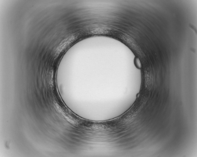 X0000102270490200808151908