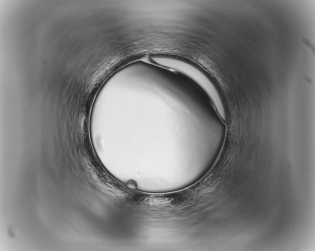 X0000102270491200808151908