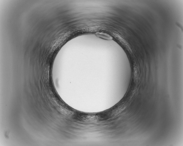 X0000102270493200808151908