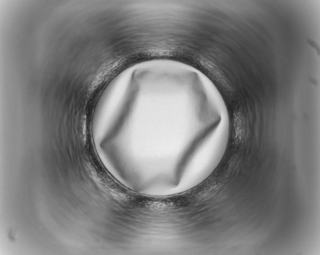 X0000102270494200808151908