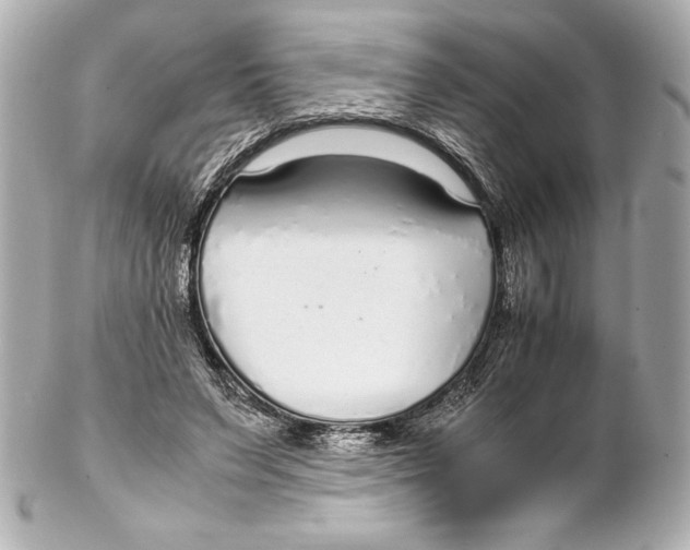 X0000102270495200808151908