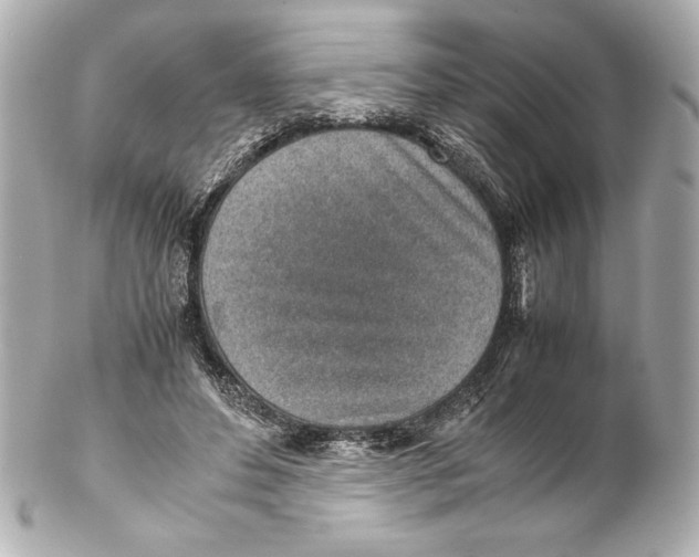 X0000102270496200808151907