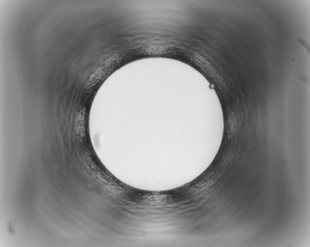 X0000102270497200808151907