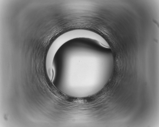 X0000102270499200808151907