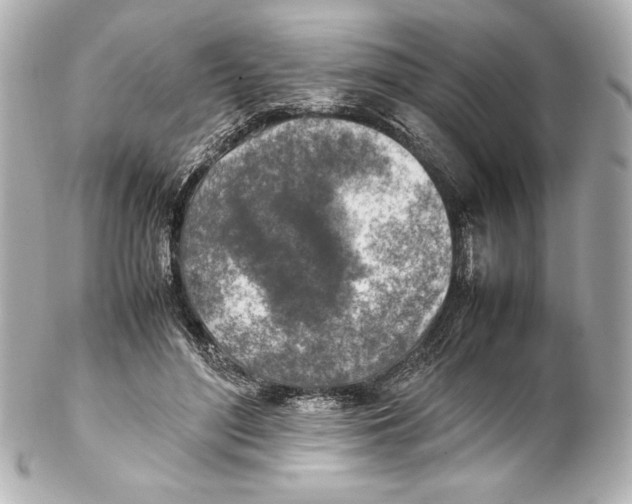 X0000102270500200808151907