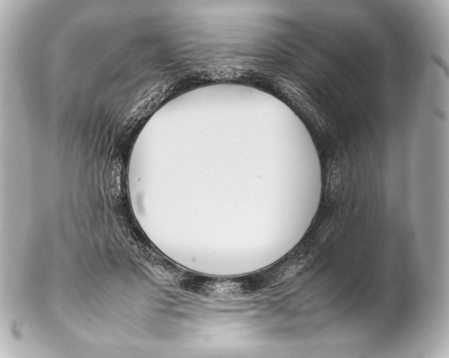 X0000102270501200808151907