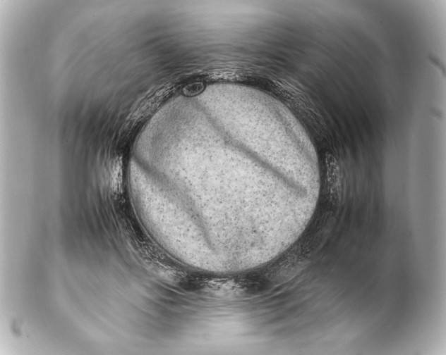 X0000102270502200808151907