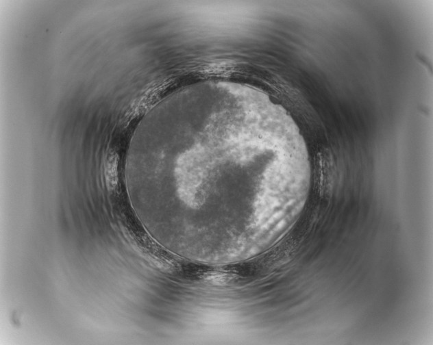 X0000102270504200808151907