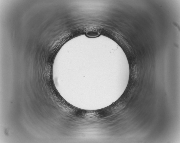 X0000102270505200808151907