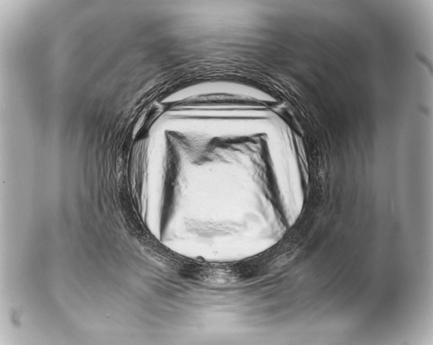 X0000102270507200808151907