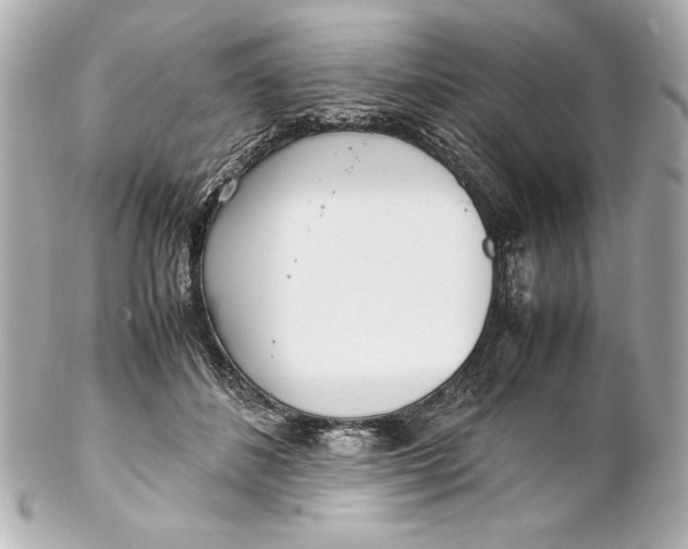 X0000102270508200808151907